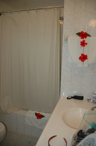 Bathroom with flowers 